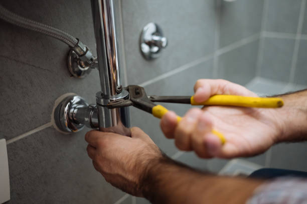 Best Local Plumber Services  in Embreeville, TN